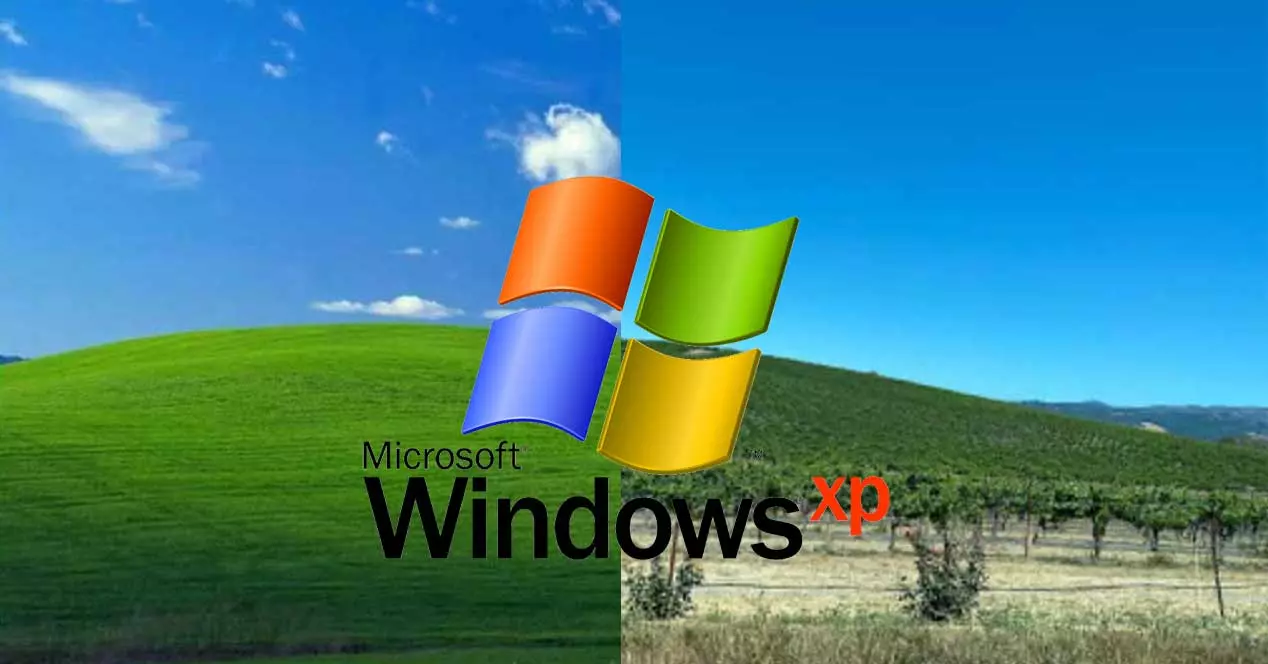 Windows XP Background Today, Twitter Improves MDs And More - Bullfrag